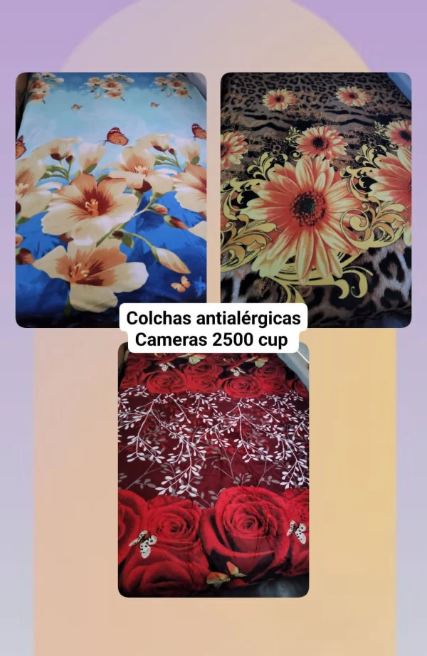 Coochas antialérgicas's foto | Tienda ADN 1817 |  BizneCubano